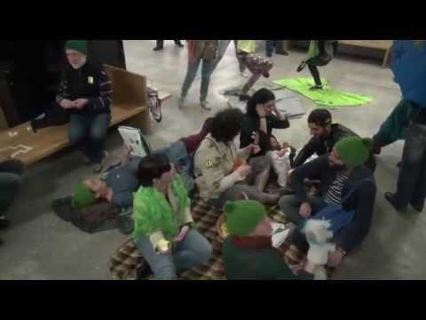 პიკნიკი თბილისის მერიაში / Picnic at Tbilisi City Hall